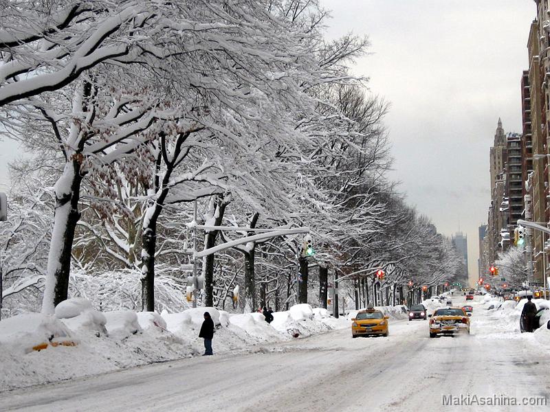IMG_2239