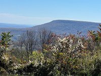 IMG_9165