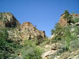 Zion